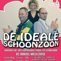 De ideale schoonzoon